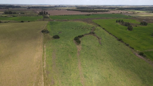 Campo En Venta En Solís De Mataojo