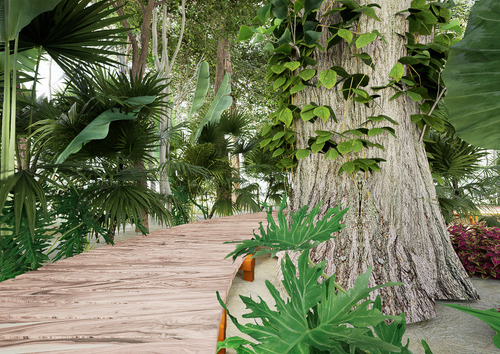Lote En Venta En Medio De La Selva Puerto Morelos