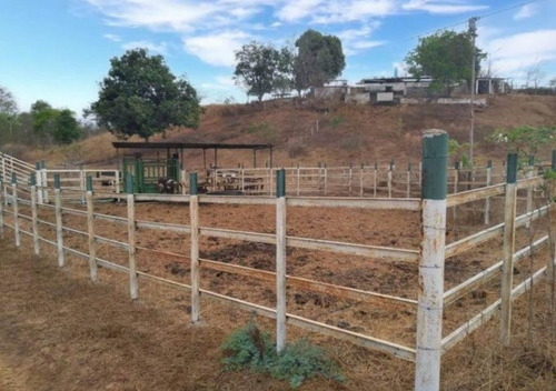 Imagen 20 de 30 de Finca En Venta Via A Duaca Barquisimeto Rah 22-21687 Maribel Morillo & Naudy Escalona Tlf. 04245543093/04145093007