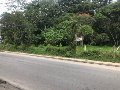 Imagen 6 de 10 de Terreno Comercial En Venta Bellavista