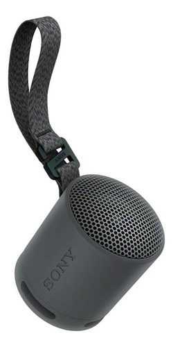 Altavoz Portátil Inalámbrico Bluetooth Sony Srs-xb100 Negro