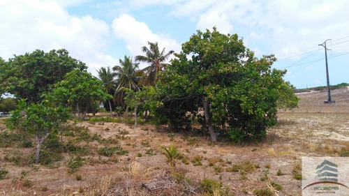Granja A Venda Em Extremoz