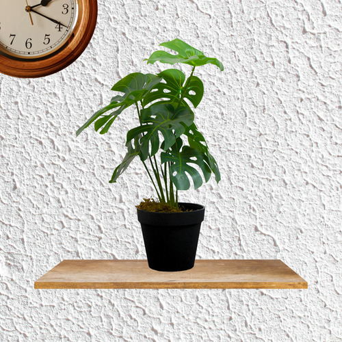 Kit 4 Plantas Artificiales Tipo Mini Monstera 35cm