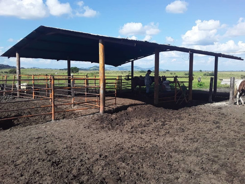 Imagen 2 de 14 de Finca En Venta - El Manteco, Estado Bolivar Fl