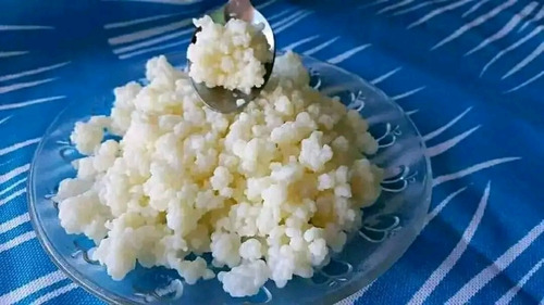 Imagen 5 de 7 de Kefir De Leche