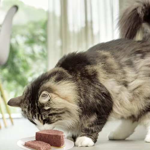 Pate Salmon Alimento Para Gatos Pack 24 Latas Felix 156 Gr
