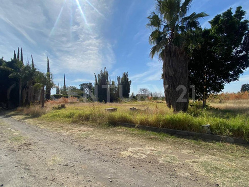 Lote Residencial En Fraccionamiento Los Cipreses, Tenextepec