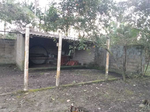 Imagem 2 de 14 de Chácara