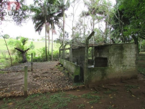 Imagem 4 de 13 de Sitio - Demboski - Ref: 18976 - V-18976