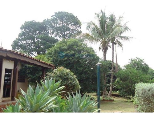 Imagem 24 de 29 de Excelente Chácara Para Venda E Locação Em Paulínia - Ch00145 - 69955748