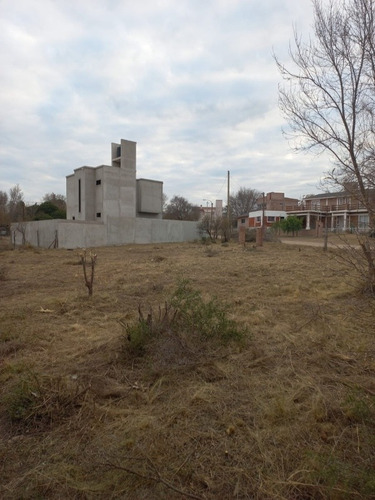 Imagen 7 de 19 de Se Vende Terreno En Mina Clavero