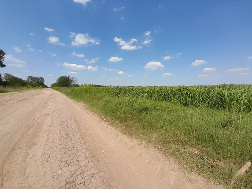 Imagen 20 de 29 de Chacra 5 Hectáreas Agro Carlos Keen Venta Oportunidad