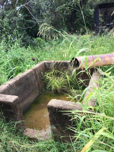 Imagen 19 de 21 de Finca Cerca De Rio Tiznado A 50 Km De Calabozo