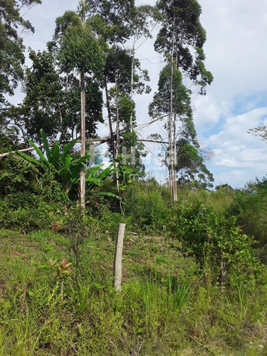 Chácara À Venda No Bairro Chapadão Figueira - Botuverá/sc - 1412c