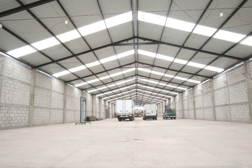 Bodega En Renta Cerca De Platah Carretera México Pachuca