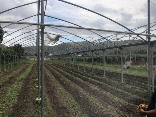 Imagen 6 de 8 de Eg Vende Granja Operativa Guacara Carabobo
