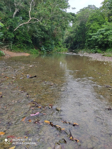  Alquilo Finca 3000 Tarea Bayaguana Con Rio