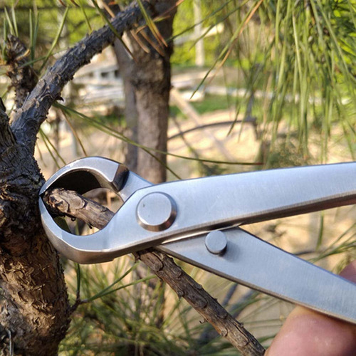 Tijeras De Jardinería, Tijeras De Acero Inoxidable Bonsai T