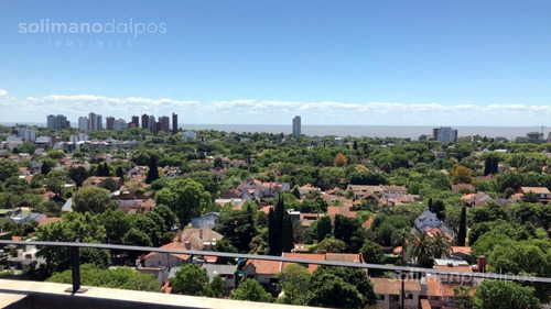 Imagen 1 de 30 de Departamento En Ultimos Pisos - 3 Amb - Cochera Doble - La Lucila