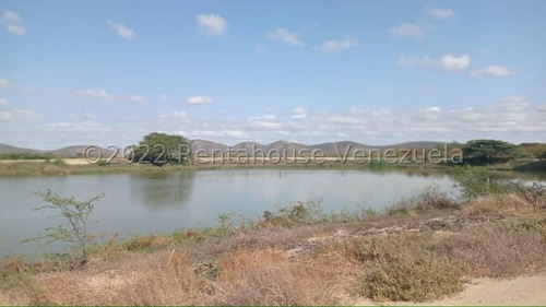 Imagen 12 de 30 de Fina En Venta Quibor Estado Lara, 04245937542