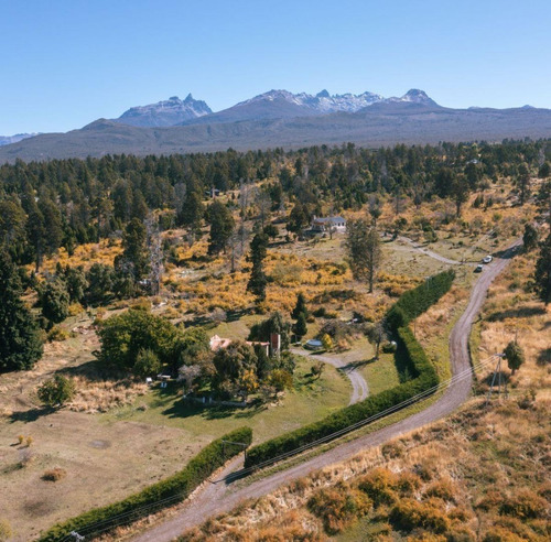 Lotes De 1 Ha. Bosque, Arroyos. Trevelin, Chubut