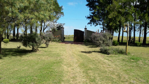 Imagen 3 de 13 de Chacra Con Lote En San Clemente