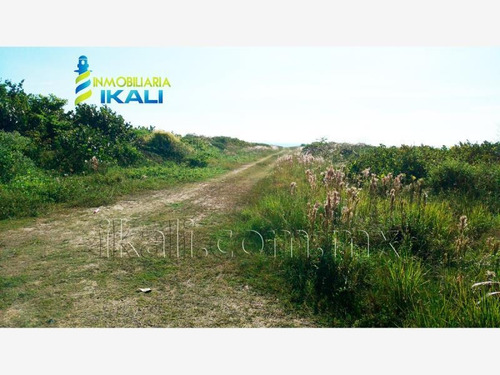 Imagen 5 de 12 de Terreno En Venta Tamiahua