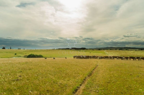 Imagen 2 de 29 de Campo En Jose Ignacio - Jose Ignacio