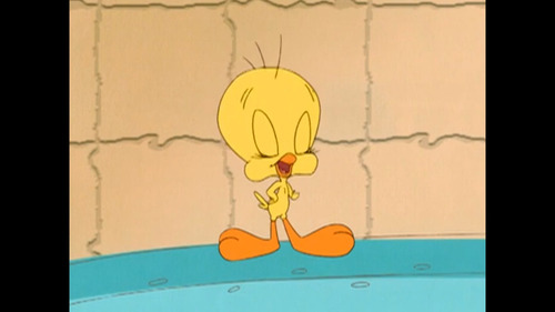 Las Aventuras De Silvestre Y Piolin Serie Looney Tunes