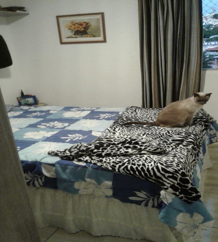 Imagem 11 de 14 de Apartamento À Venda No Jardim Santa Monica- 11541