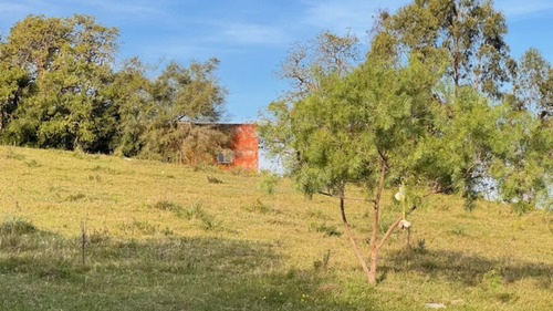 Campo De 4 Has 1602 M2 Muy Cerca De Ruta 12 Y La 9.