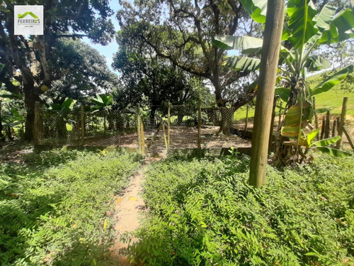 Imagem 23 de 30 de Sítio A Venda No Bairro Parque Capivari Em Duque De Caxias - 834-1