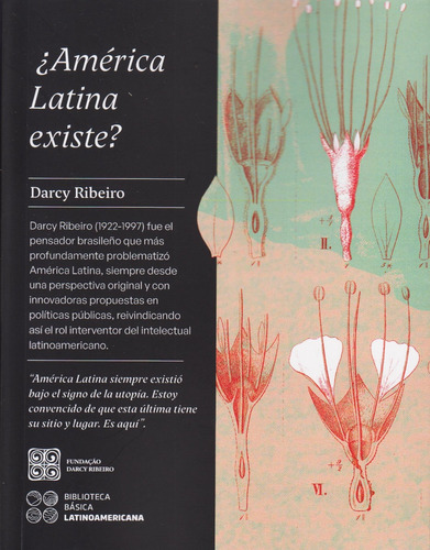 Darcy Ribeiro - ¿america Latina Existe?