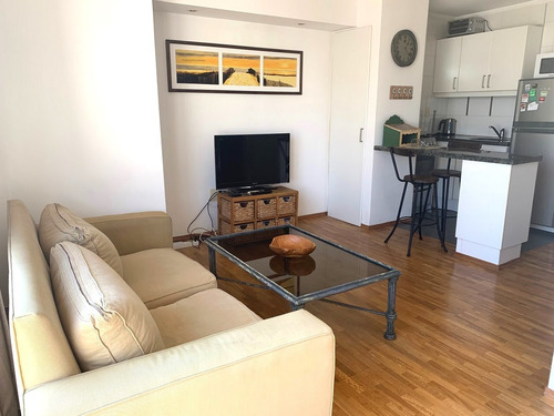 Apartamento Alquiler Con Muebles, 1 Dormitorio, Pocitos