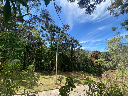 Terreno Em Gonçalves Número 5