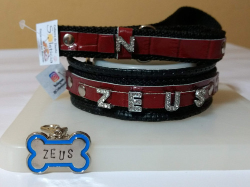 Collar+correa C/nombre Hasta 4letras Y Chapita Yorky,caniche