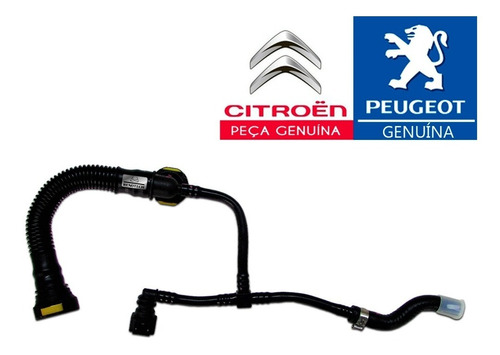 9675548980 Mangueira De Respiro Do Oleo Peugeot Citroen Org