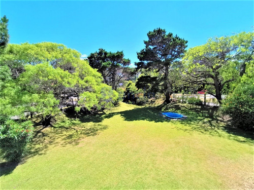 Punta Del Este, Zona Mansa- Ref: 731