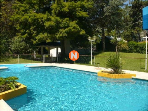 Casa En Venta Y Alquiler, Cantegril, Punta Del Este, 4 Dormitorios.- Ref: 207382