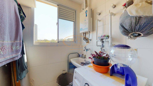 Apartamento Com 2 Dormitório(s) Localizado(a) No Bairro Rio Pequeno Em São Paulo / São Paulo - 17281:924679