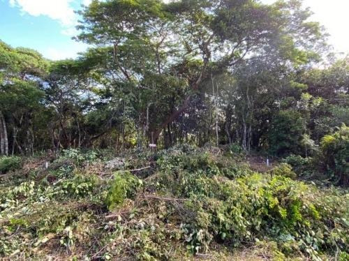 Imagem 2 de 7 de Terreno Perto Da Praia De 280 Metros Em Itanhaém Litoral Sul
