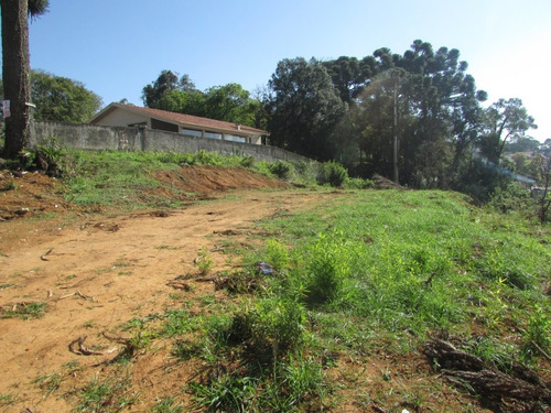 Imagem 3 de 6 de Terreno Para Venda - 10600.2063