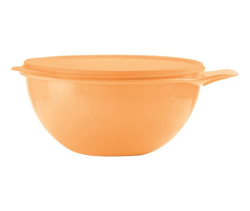 Contenedor Bowl Creativa 2,75 Lt Tupperware®