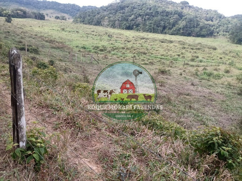 Imagem 8 de 20 de Fazenda À Venda Com 80 Alqueires Paulista No Vale Do Ribeira-sp Ref.: 0858