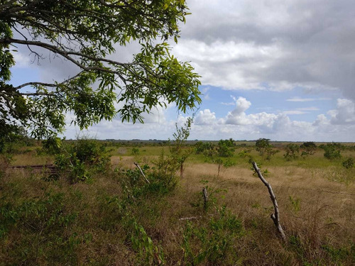 Se Vende Finca En Aribi, Via Al Sur De Monagas Ve02-554vs-dced