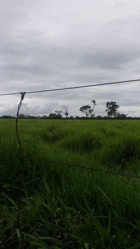 Fazenda Com 178 Hectares Rica Em Agua Em Felixlandia Mg - 36425
