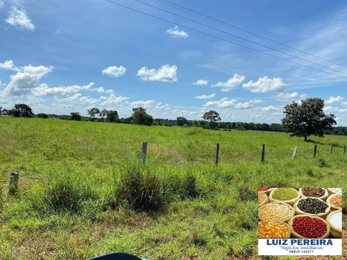 Imagem 2 de 13 de Fazenda A Venda Em Divinópolis - To - De 538 Alqueirões (dupla Aptidão) - 1667