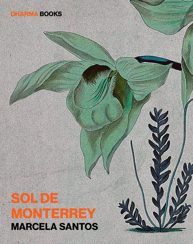 Sol De Monterrey