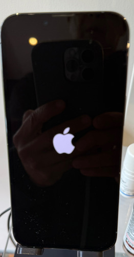 Hot Sale Apple Iphone 13 Pro (256g) Azul Sierra Excelente Estado Azul Acero (Usado)