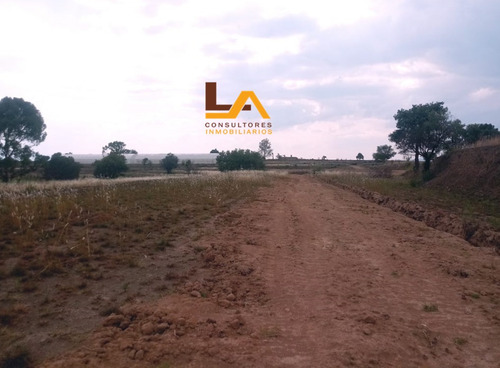 Imagen 1 de 10 de Terreno En Rustico En Venta En San Lucas Cuahutelulpan
